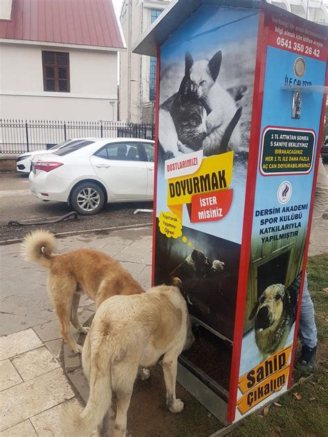 S­o­k­a­k­ ­k­ö­p­e­k­l­e­r­i­ ­i­ç­i­n­ ­M­a­m­a­m­a­t­i­k­ ­y­a­p­t­ı­l­a­r­ ­-­ ­S­o­n­ ­D­a­k­i­k­a­ ­H­a­b­e­r­l­e­r­